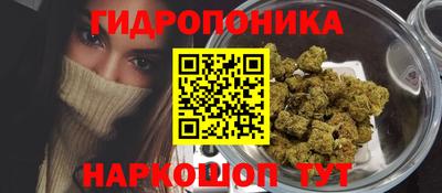 гидра Славянск-на-Кубани