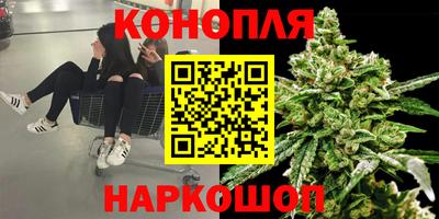 гидра Славянск-на-Кубани