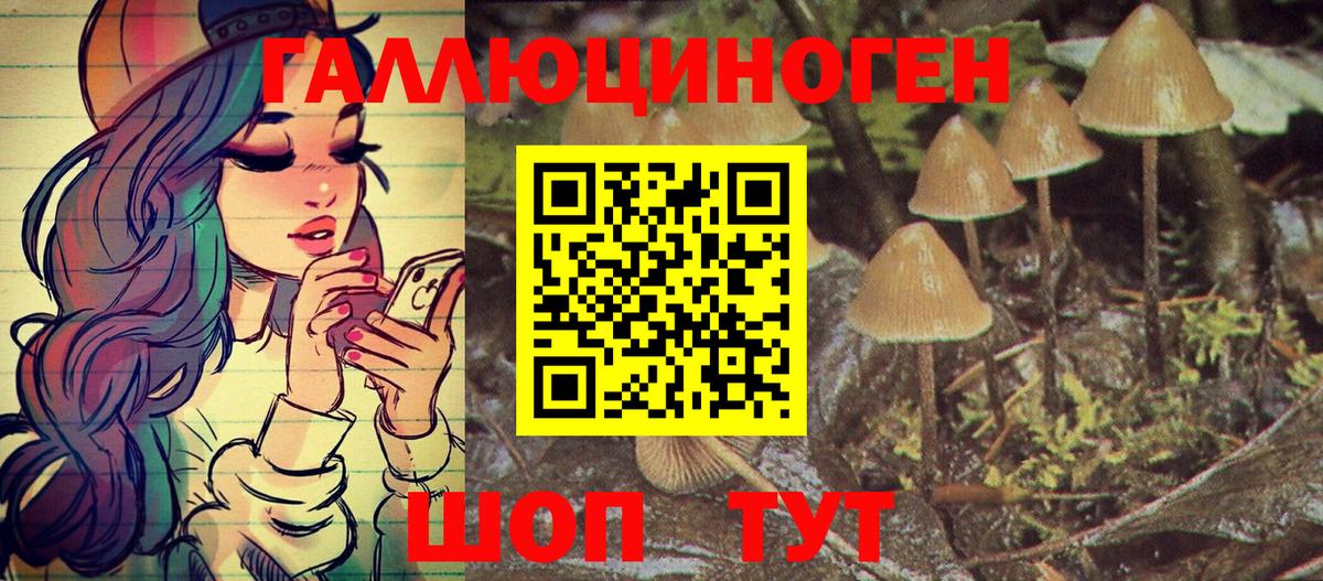 Ноябрьск  продажа наркотиков  Галлюциногенные грибы Psilocybe  Вход с VPN  Псилоцибиновые грибы ЛСД 