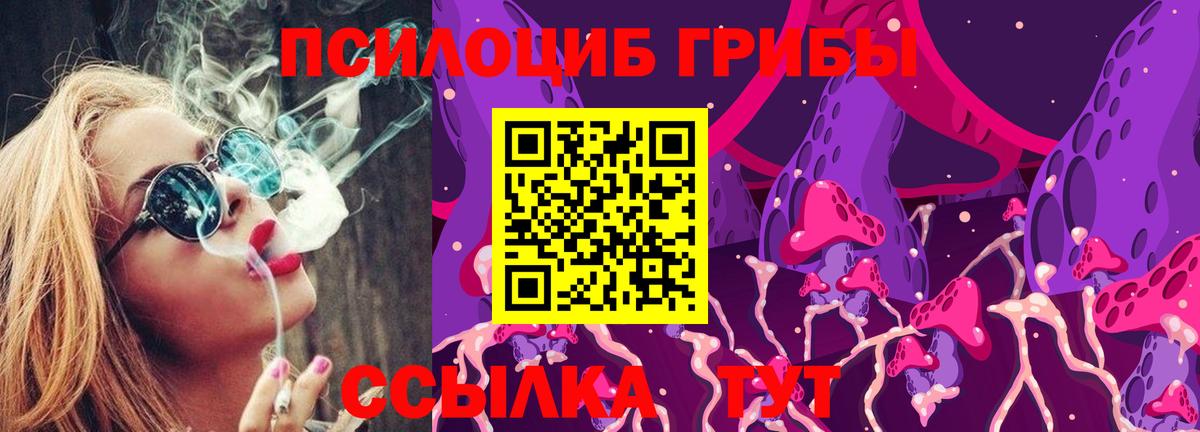 Псилоцибиновые грибы Cubensis Ноябрьск